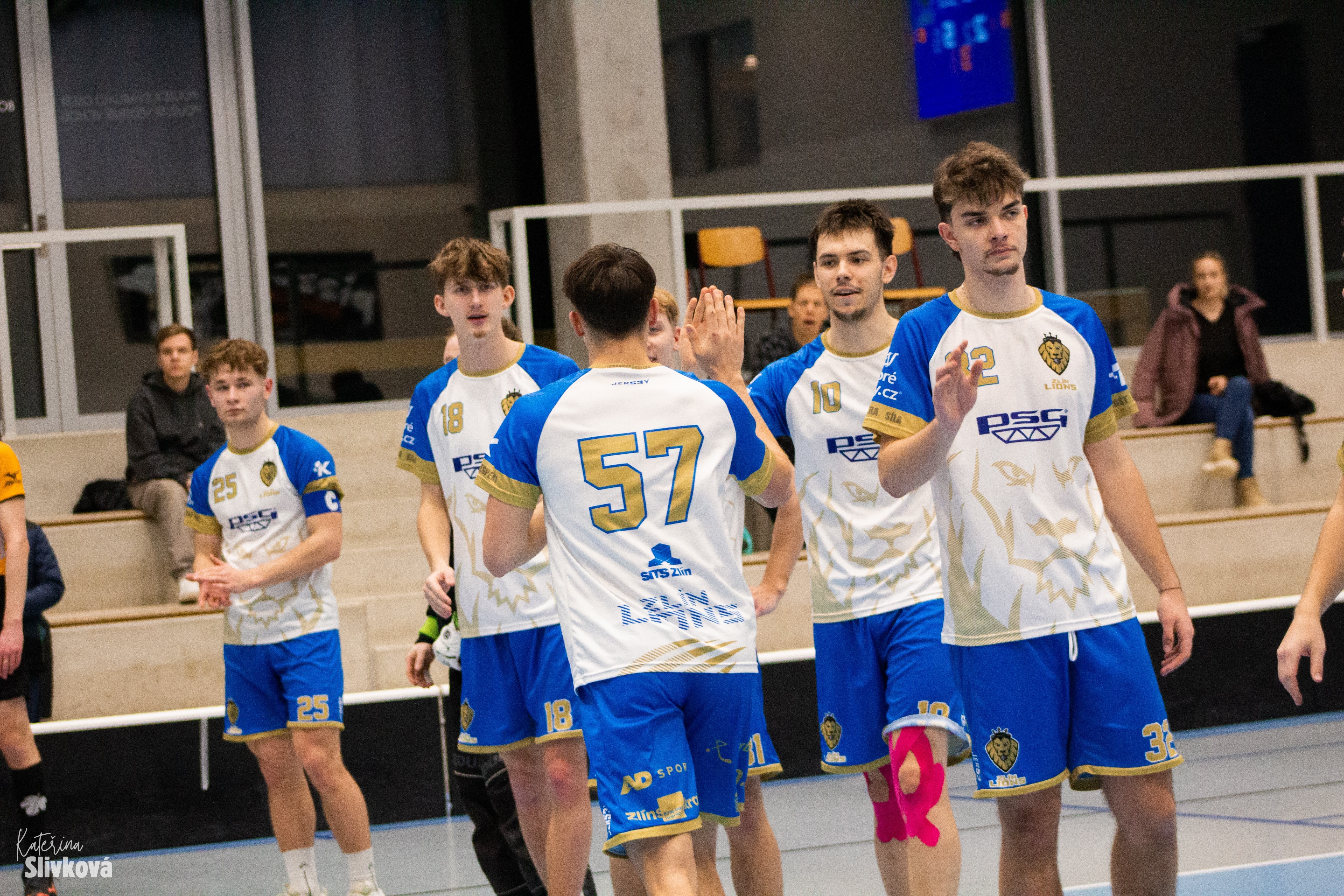 PREVIEW | V posledn�m dom�c�m utk�n� z�kladn� ��sti vyzvou Lvi soupe�e z Petrovic