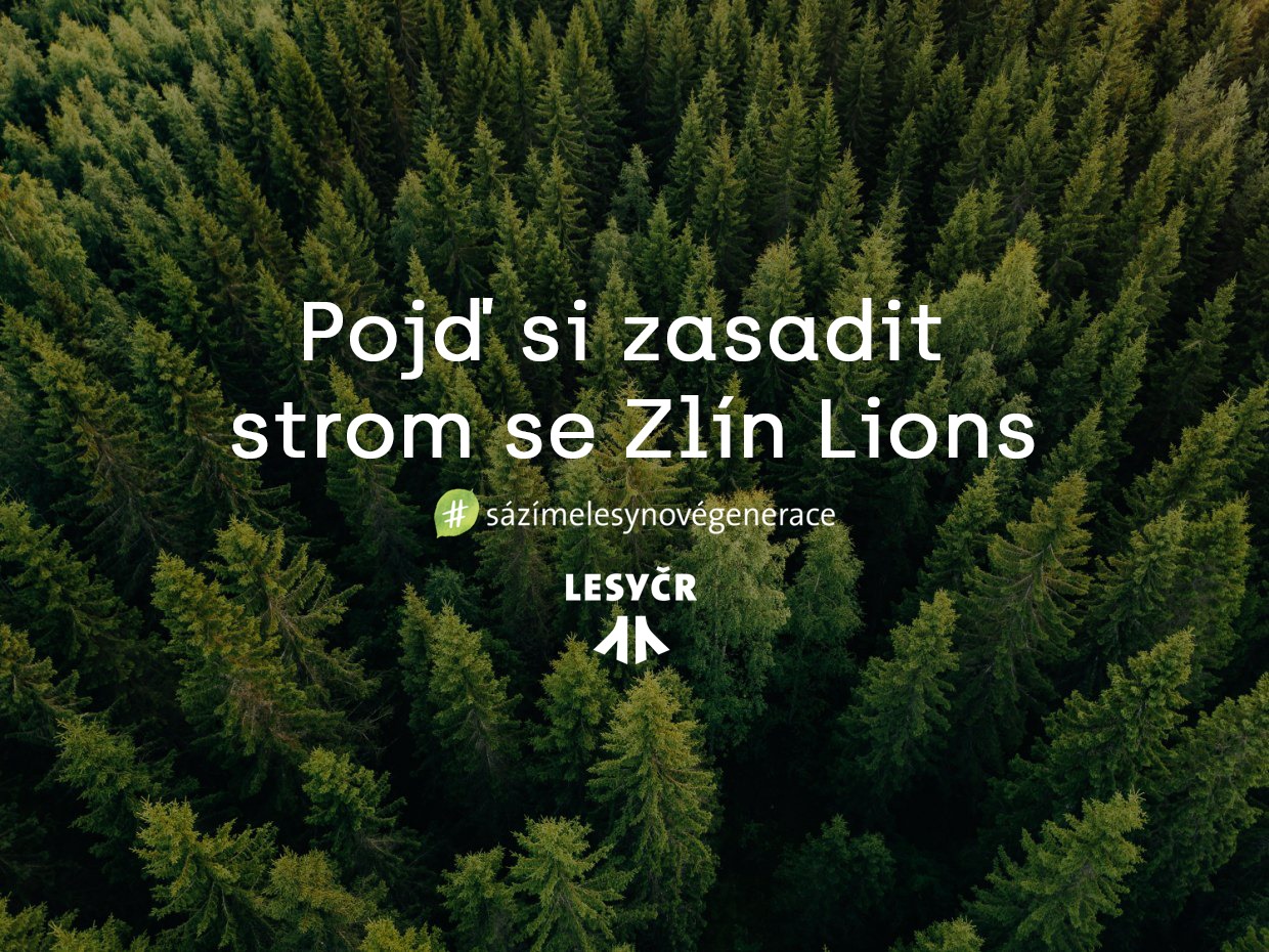 Lvi zachrauj lesy