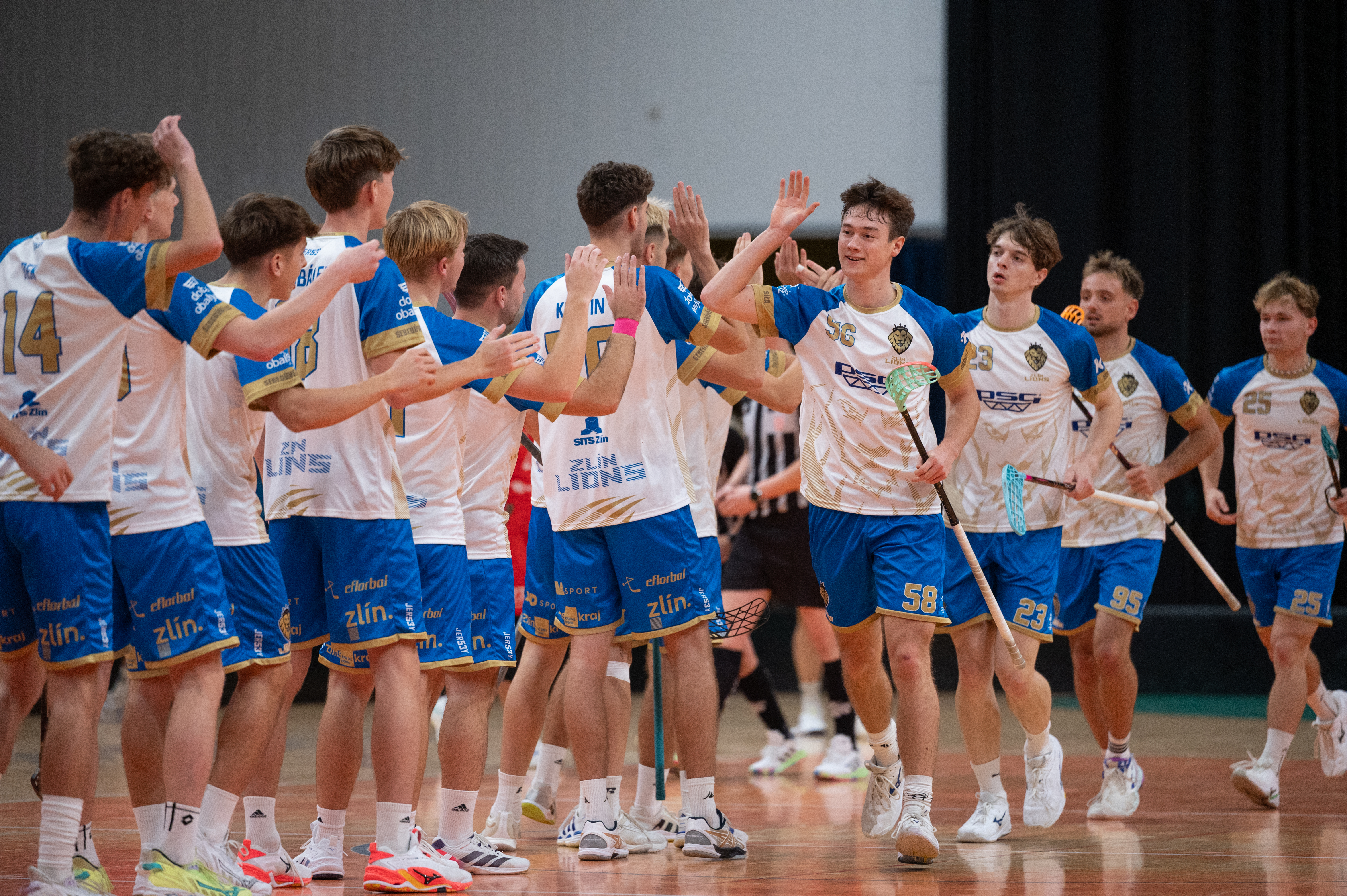 SPOLE�N� ZA POSTUPEM! P�ij�te podpo�it zl�nsk� Lvy na cest� za 1. ligou