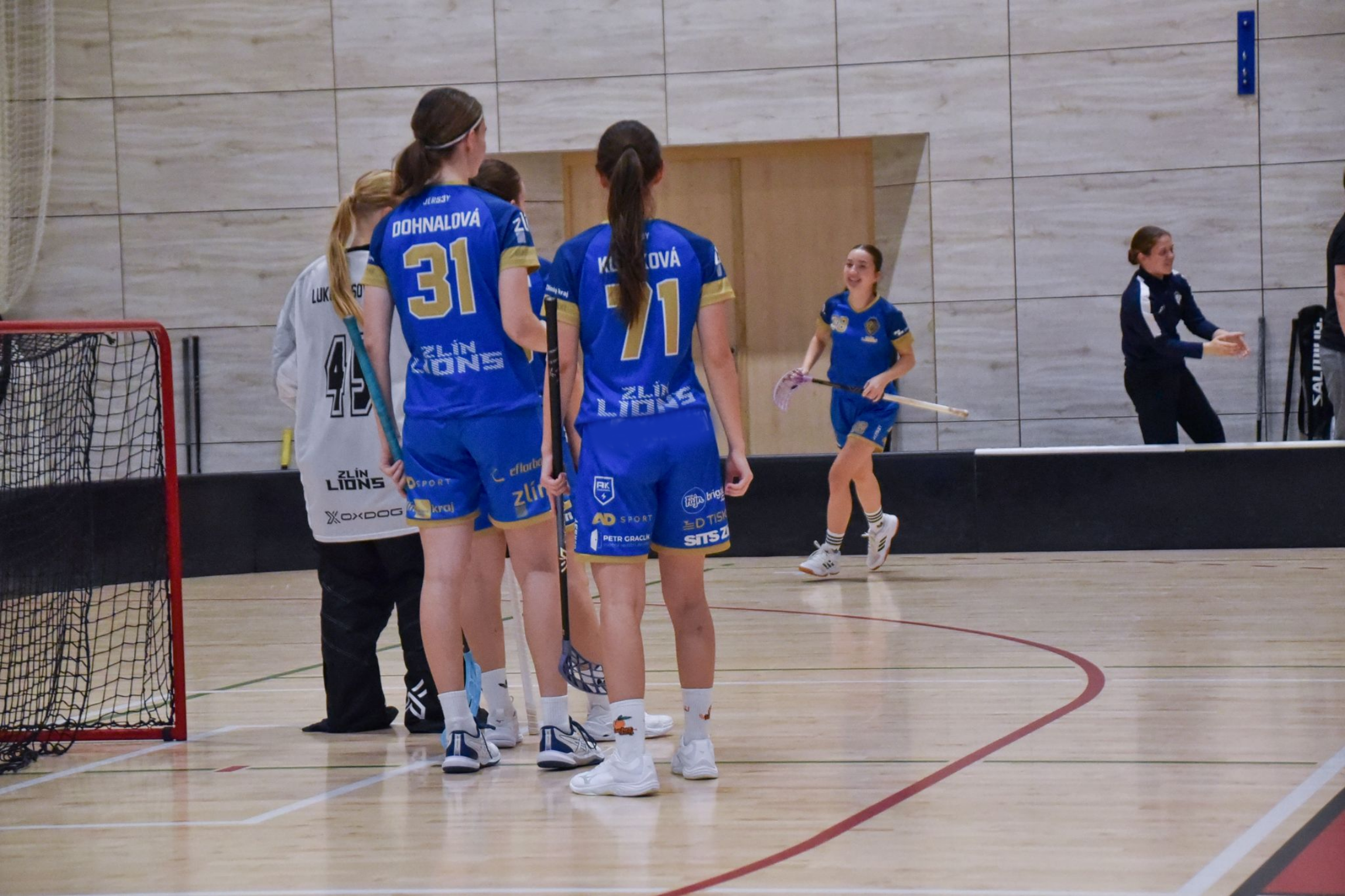 ​Lvice m��� do Dobru�ky: P�etav� v�t�znou s�rii v dal�� body proti soupe�i se zku�enostmi z Extraligy?