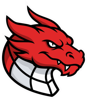 Logo Florbal Erupting Dragons