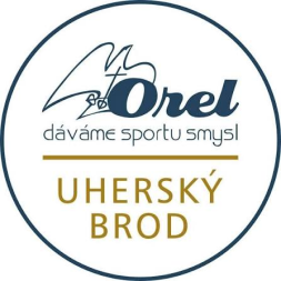 Logo Uh. Brod - Z� Prak�ice