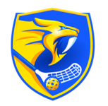 Logo Zln Lions